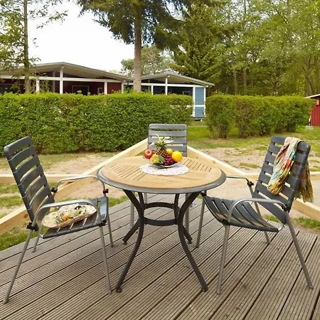 Dom wakacyjny Ferienhaus-bergstrasse-ferienwohnung-b6 *